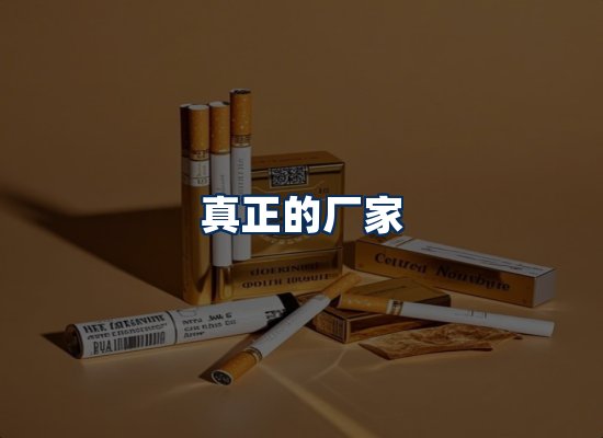 专业团队办公环境